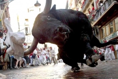 Pamplona_bull